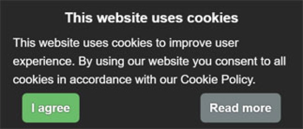 Example of a cookie pop-up
